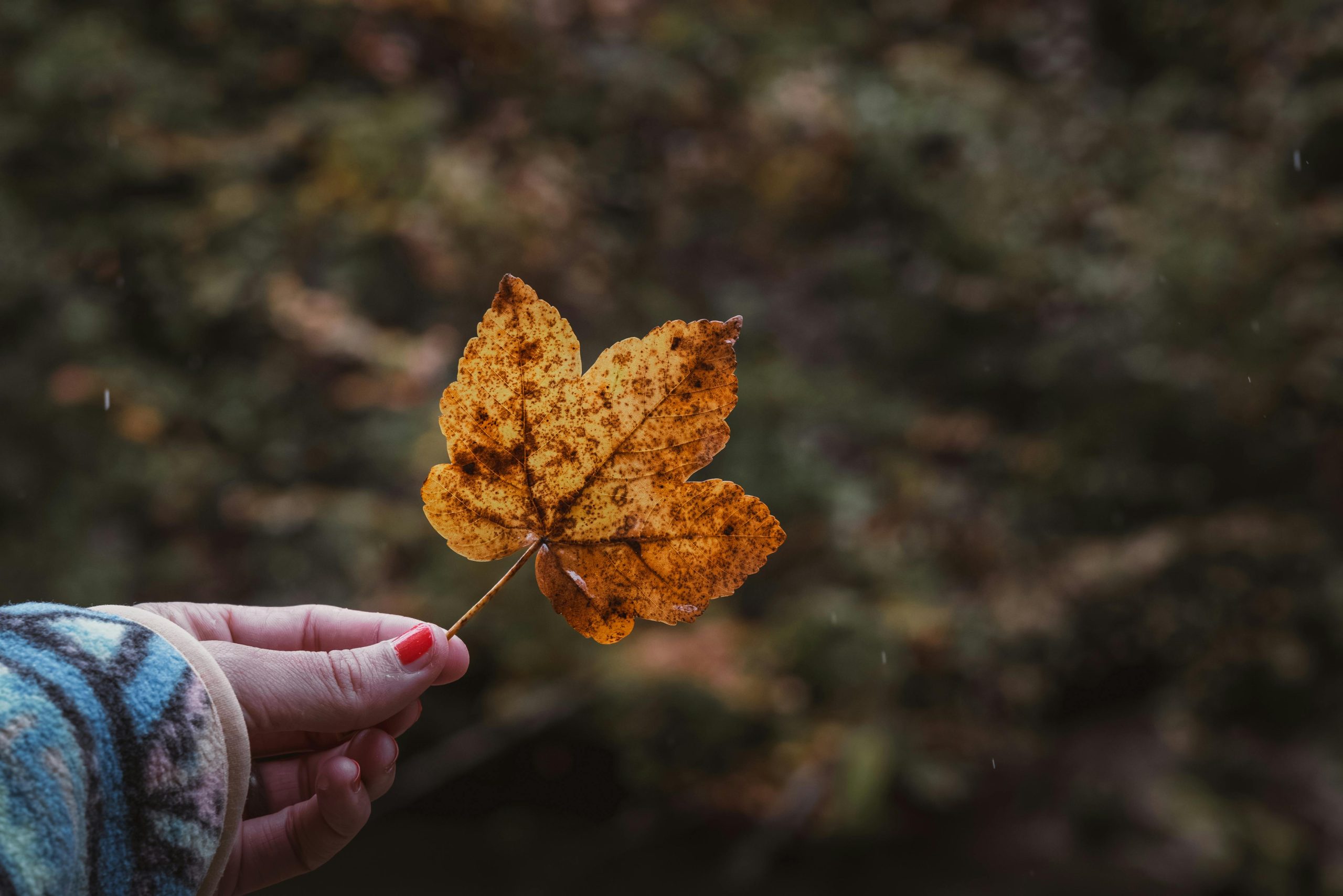 İyidere Diş Çürüğü: Nedenleri, Belirtileri ve Korunma Yolları